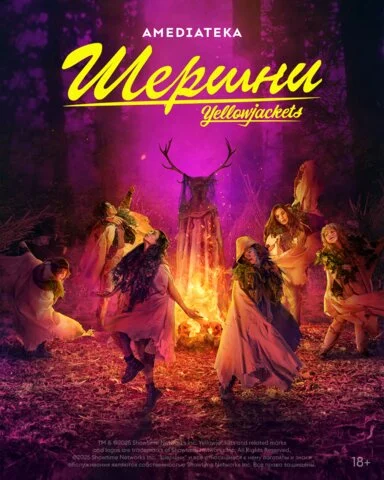 Шершни - постер сериала
